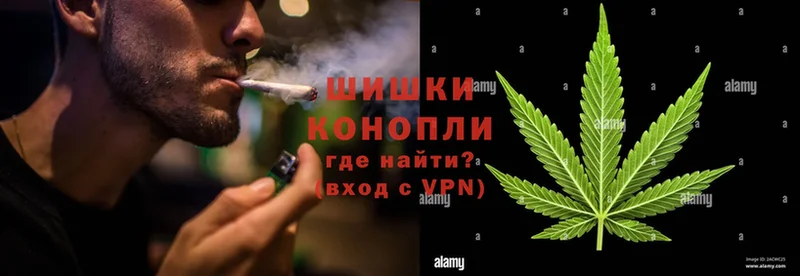 Конопля OG Kush  Шумерля 